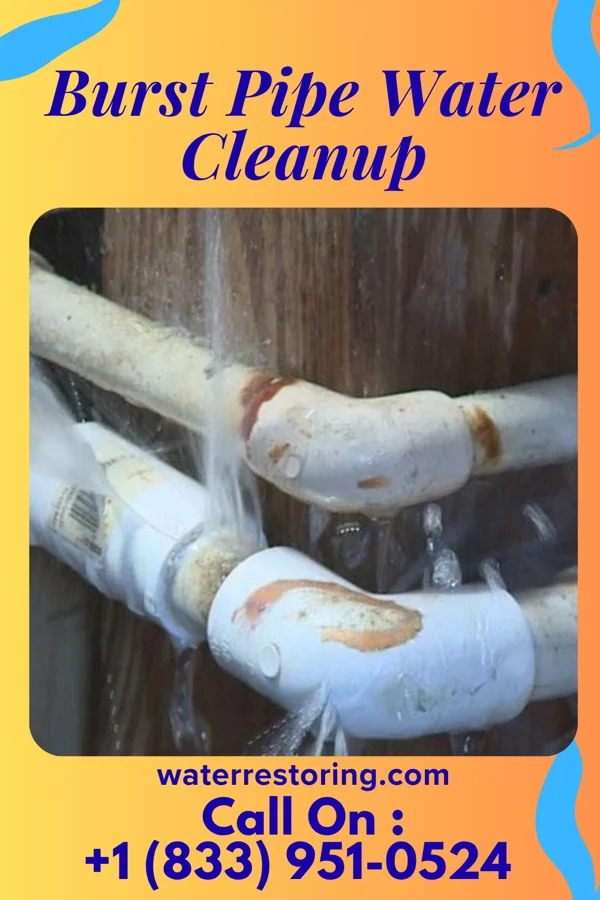 Burst Pipe Water Cleanup in Coaldale, PA
