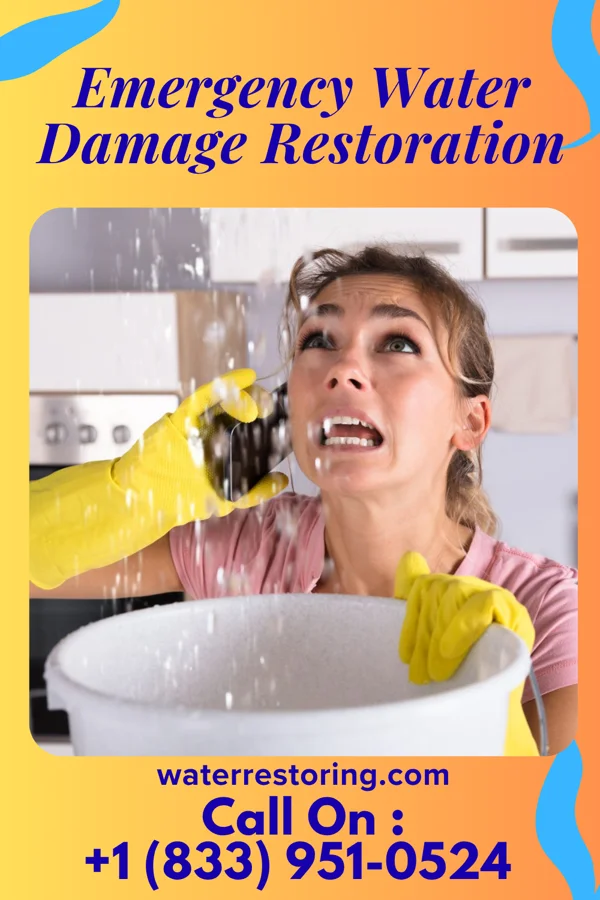 Emergency Water Damage Restoration in Coaldale, PA