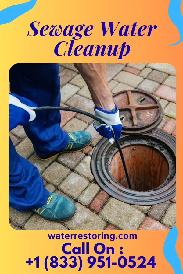 Sewage Water Cleanup in Coaldale, PA