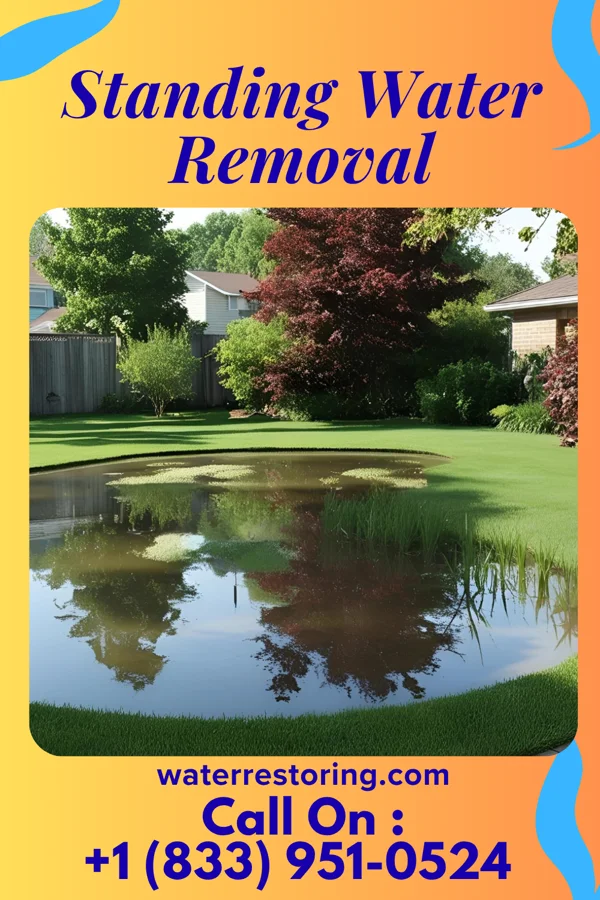 Standing Water Removal in Coaldale, PA